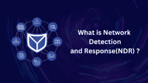 network detection and response