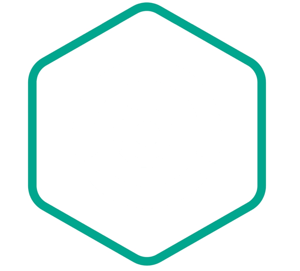 Kaspersky Scan Engine logo