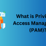 what is pam?