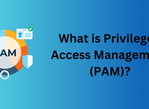 what is pam?