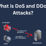 DoS And DDoS Attacks