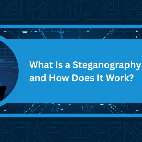 Steganography attacks
