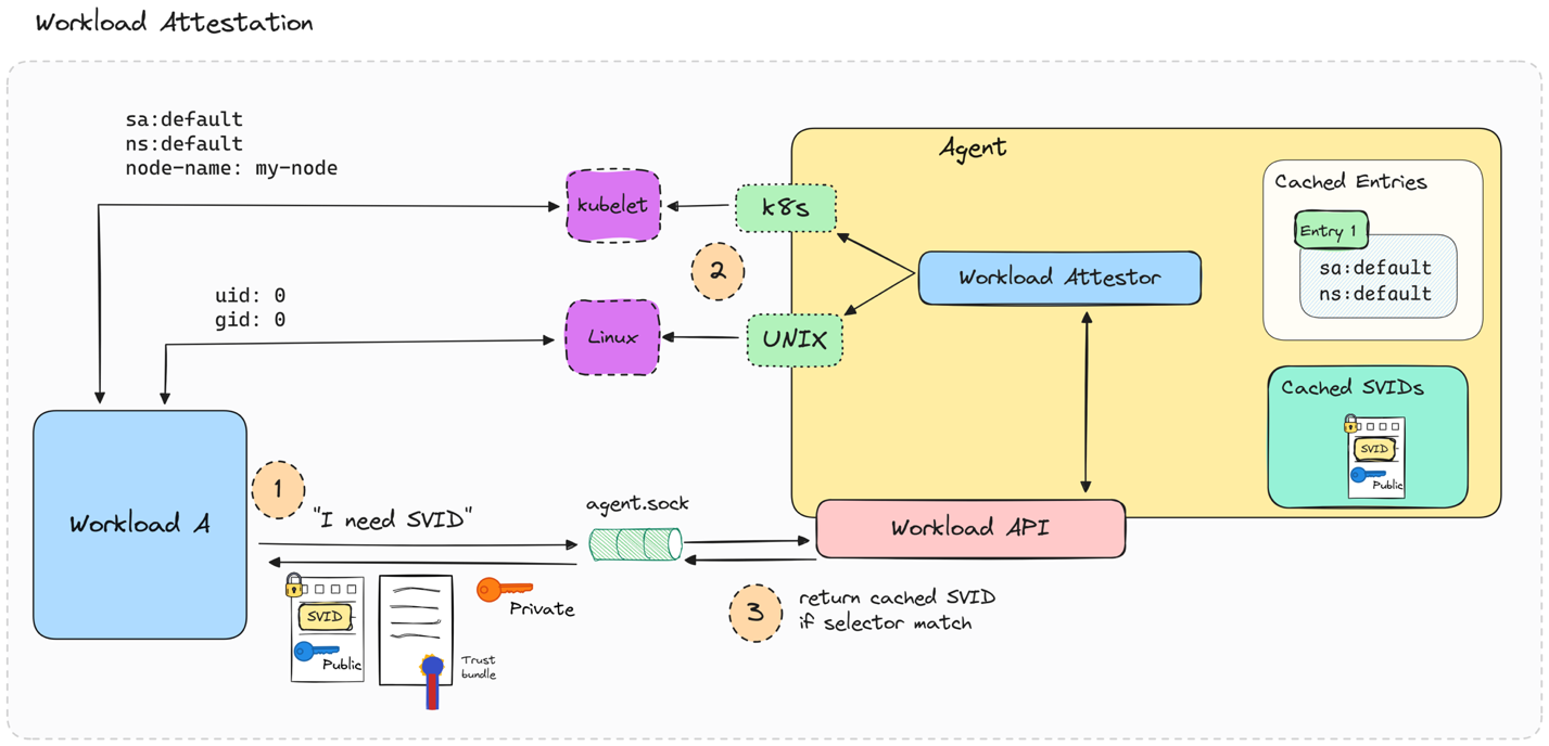 سوءاستفاده از SPIFFE/SPIRE برای جعل هویت ورکلودها در Kubernetes 3 A diagram titled "Workload Attestation" illustrating the process flow. "Workload A" connects to "kubelet" and "Linux" components, then to "k8s" and "UNIX," leading to the "Agent." The "Agent" includes "Workload Attestor" and connects to the "Workload API." Cached entries and SVIDs are shown. The process is numbered 1 to 3, showing the flow of requests and responses.